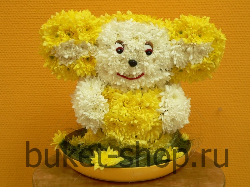 ���������. ����������. �������� ������ BUKET-SHOP.RU