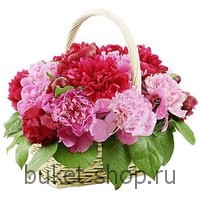 ���� ����. �����, ������. �������� ������ BUKET-SHOP.RU