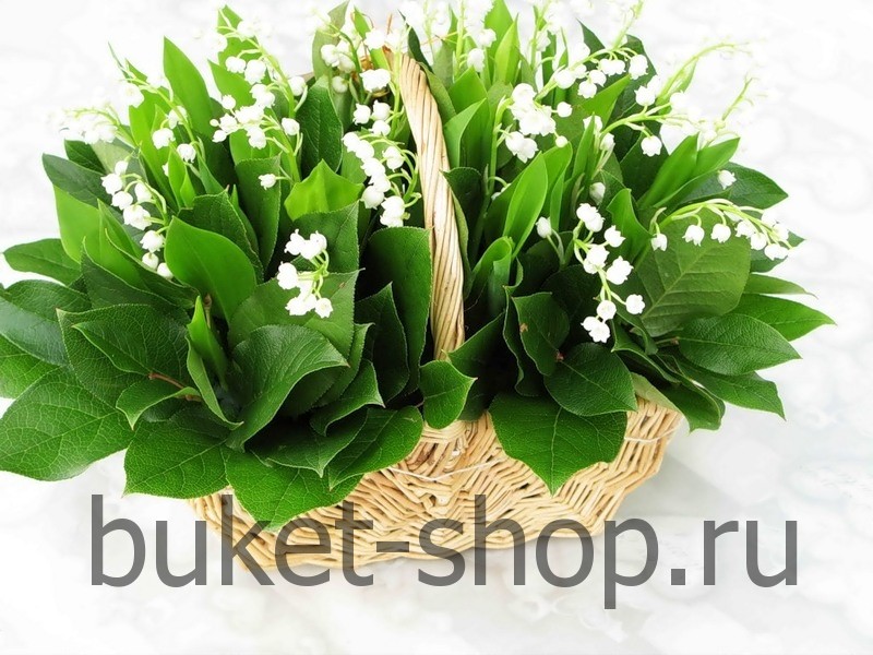 . .   BUKET-SHOP.RU