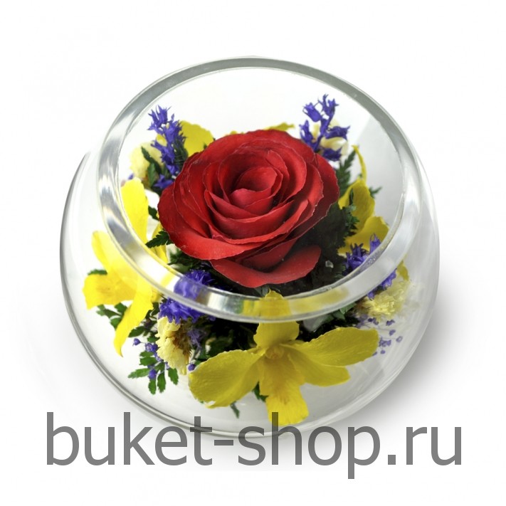 ���������� � ������� �� ����� ������. ����, �������. �������� ������ BUKET-SHOP.RU